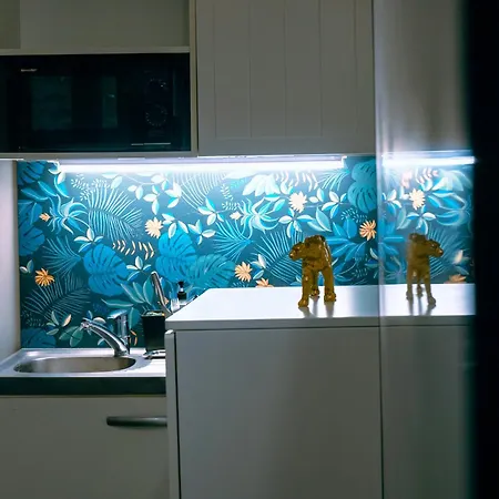Studio Charmant Apartment *